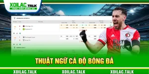 thuật ngữ cá độ bóng đá