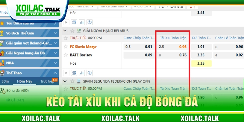 Tìm hiểu về kèo tài xỉu bóng đá được nhiều bet thủ ưa chuộng 