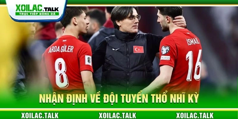 Nhận định về đội tuyển Thổ Nhĩ Kỳ